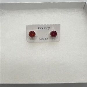 Elegant Garnet Red Stud Earrings